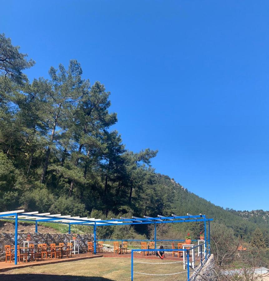 Alp Inn Villas 투룬치 외부 사진