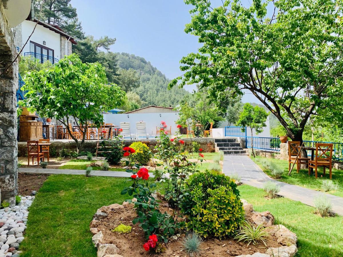 Alp Inn Villas 투룬치 외부 사진