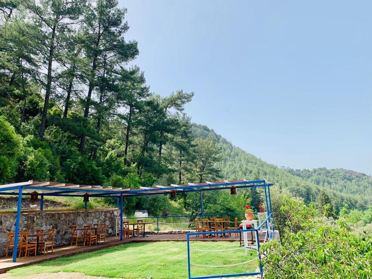 Alp Inn Villas 투룬치 외부 사진