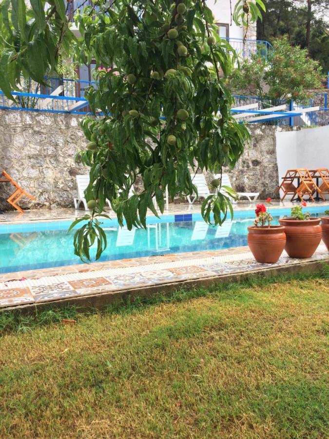 Alp Inn Villas 투룬치 외부 사진